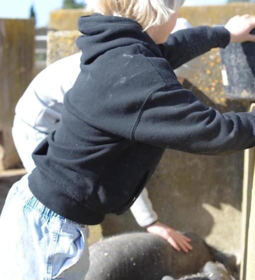 酒店 Finca Sa Cova Vella