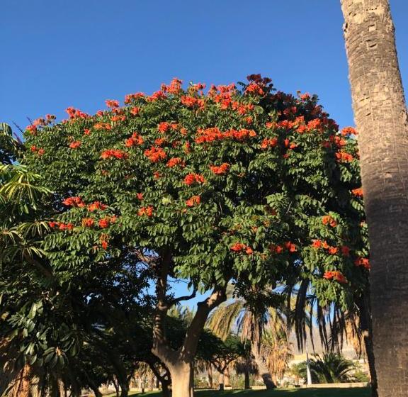 Liberty Cottage Tenerife