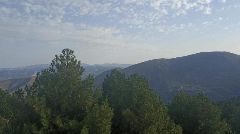 ペンション Hostal El Desvío