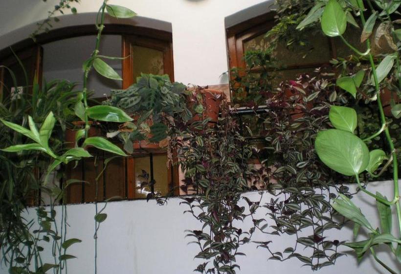 פנסיון Hostal Maurin