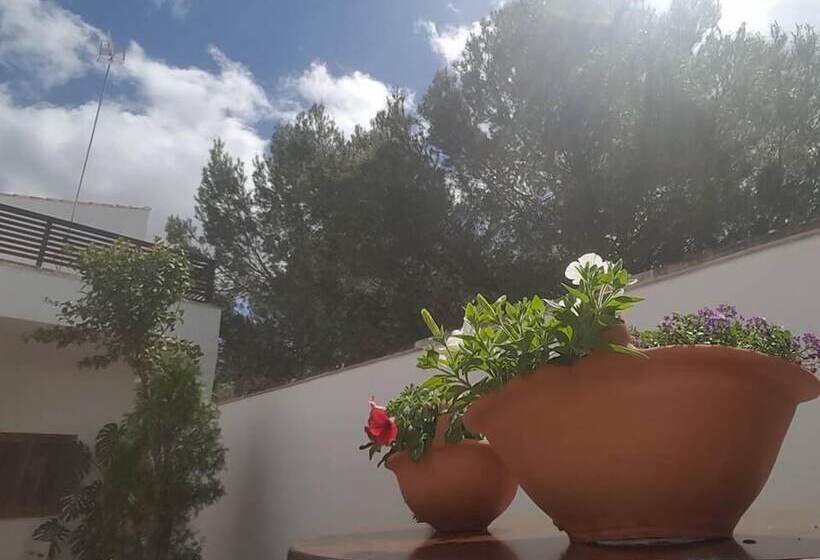 פנסיון Hostal Rural Ben Nassar