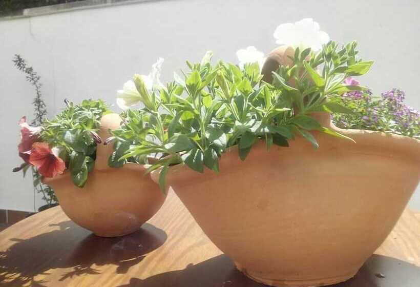 פנסיון Hostal Rural Ben Nassar