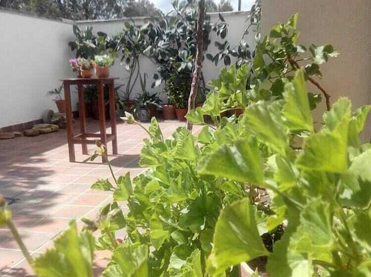 פנסיון Hostal Rural Ben Nassar