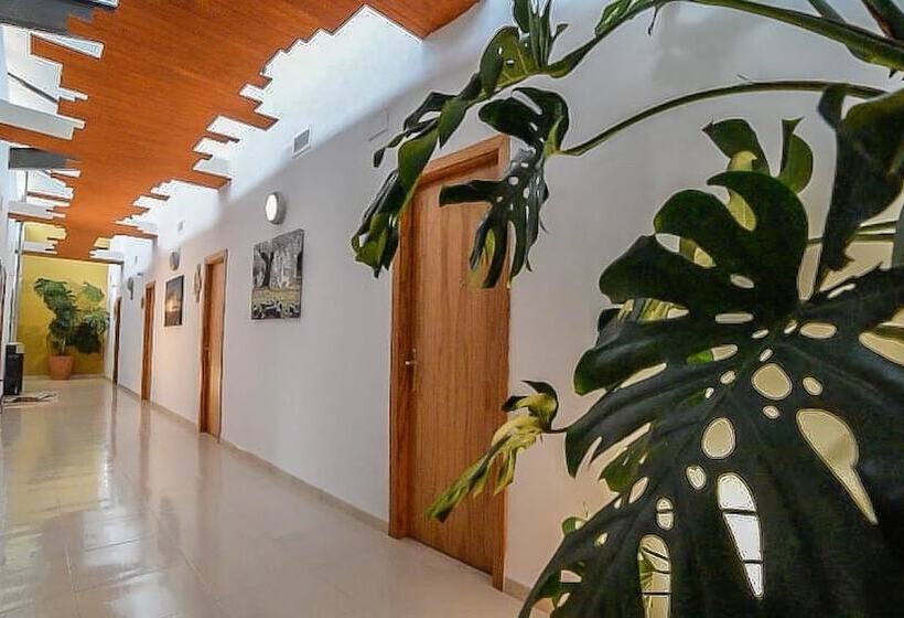 פנסיון Hostal Rural Ben Nassar