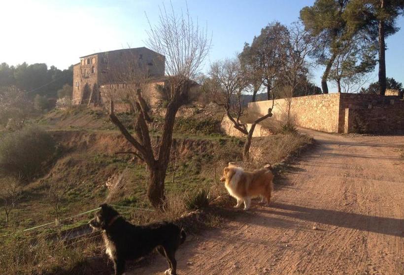 بنسيون Masia Casajoana Rural