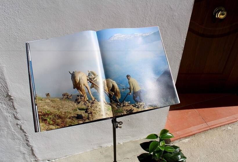 旅馆 Posada La Primera Sonrisa