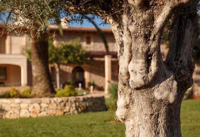 酒店 Agroturismo S Arboçar