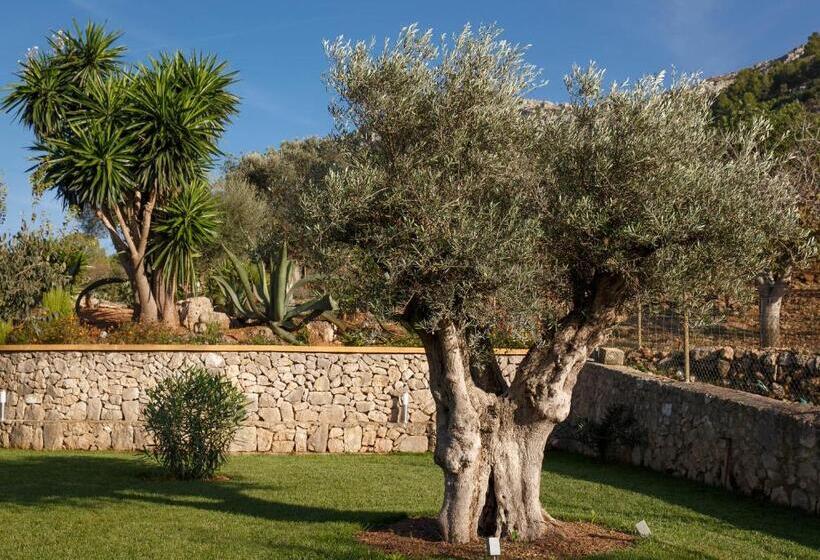 酒店 Agroturismo S Arboçar