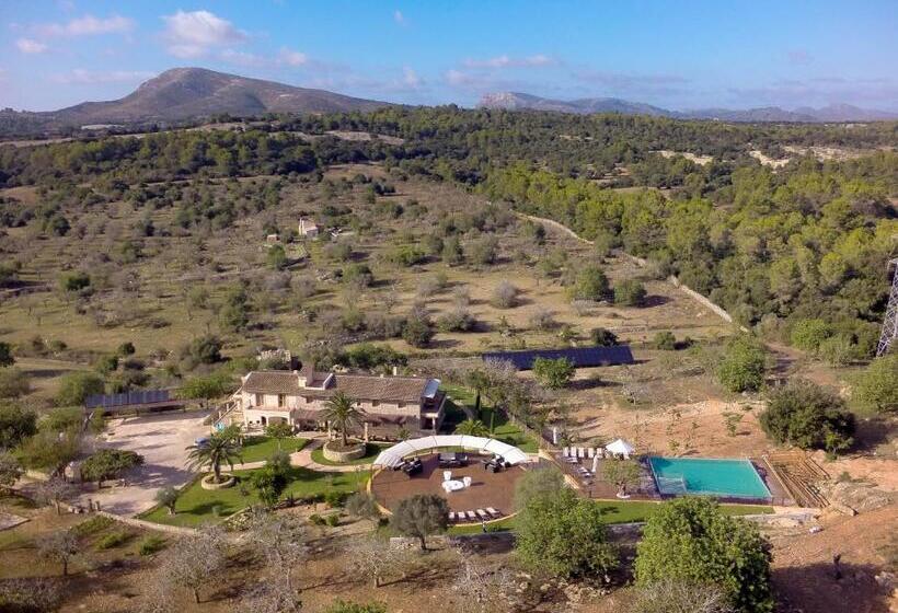 酒店 Agroturismo S Arboçar