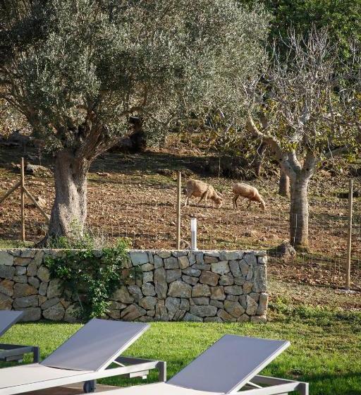 酒店 Agroturismo S Arboçar