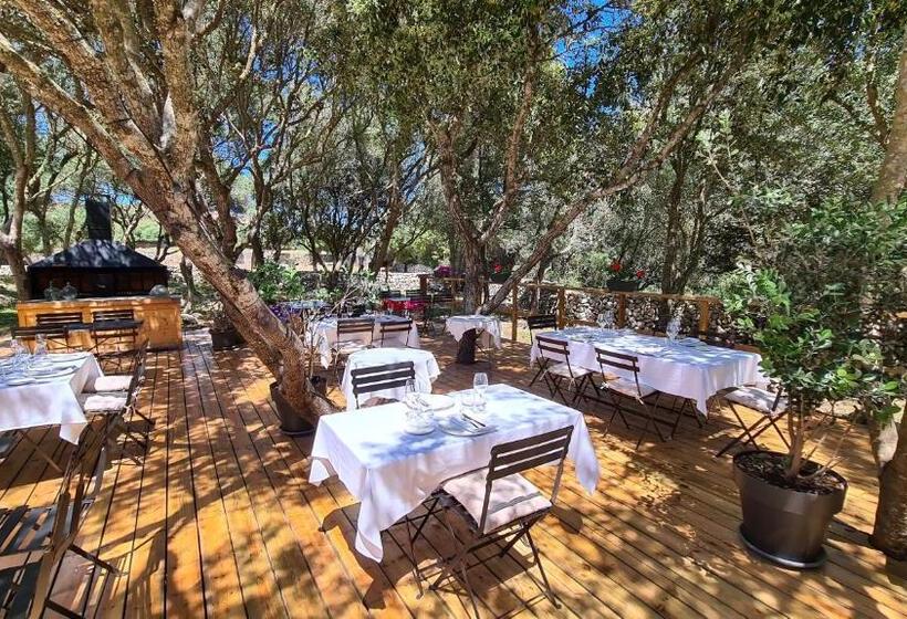 בית מלון כפרי Agroturismo Santa Mariana