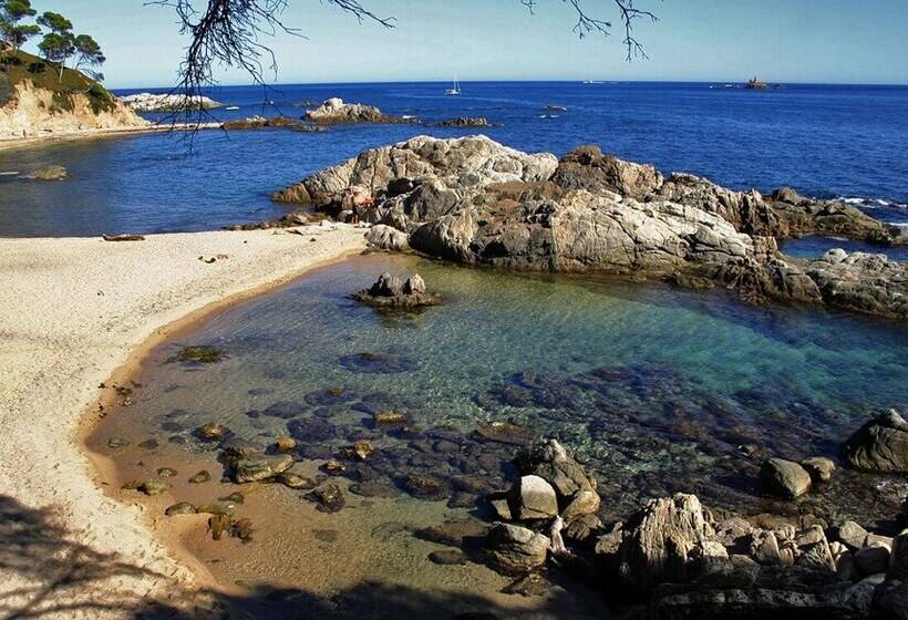 بنسيون Cal Nou 9   Adults Only