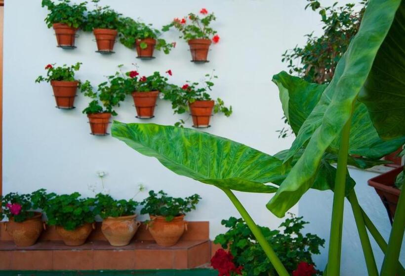 ペンション Hostal Batato