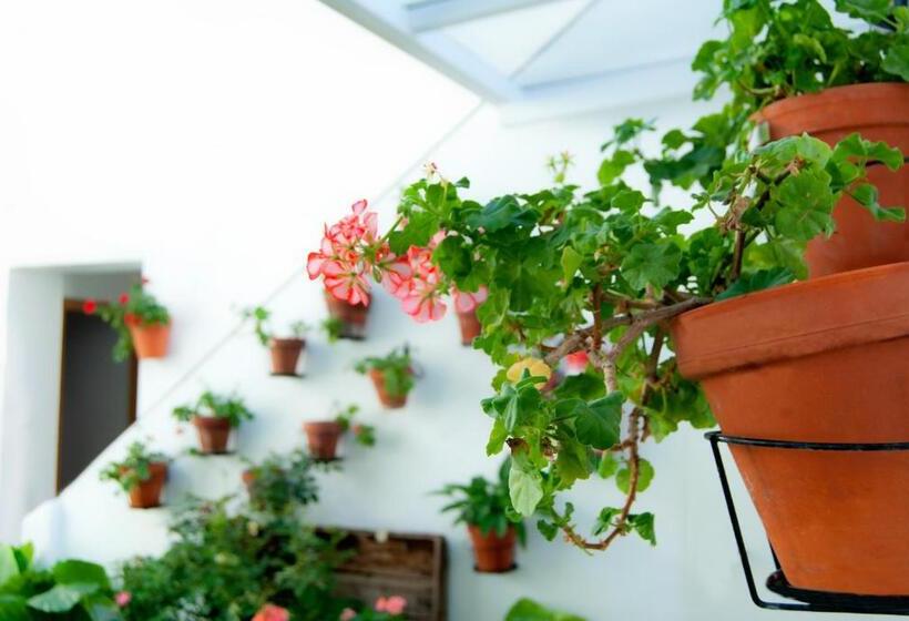 Пансион Hostal Batato