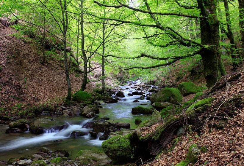 پانسیون Hostal Etxeberri