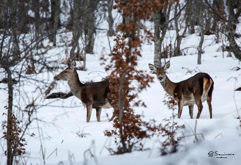پانسیون Hostal Etxeberri
