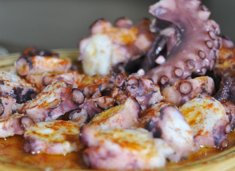 פנסיון Pons Minea