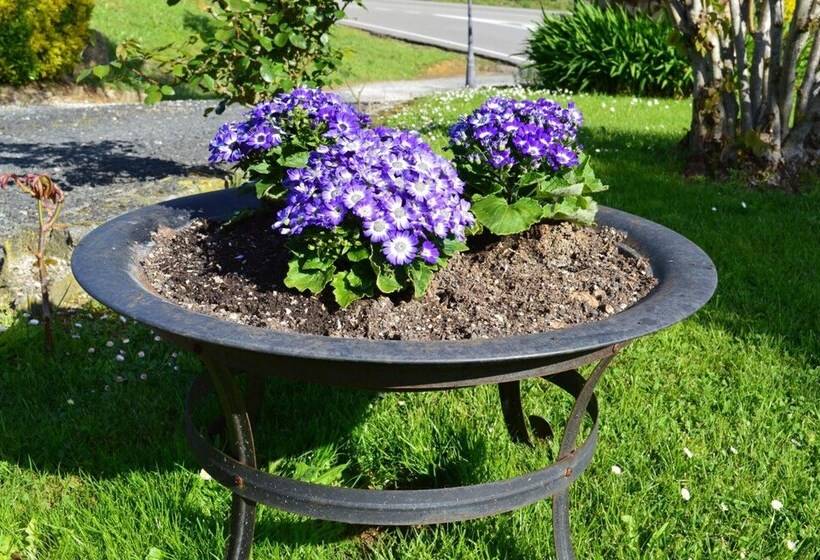 호스텔 Posada El Jardín