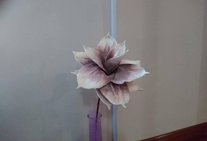 호스텔 Posada El Jardín