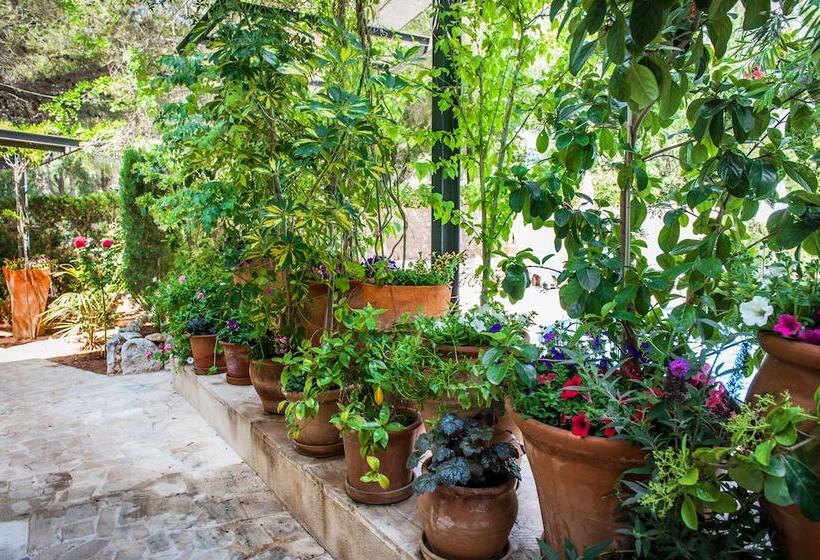 Apartamentos Cala Murada Minigolf