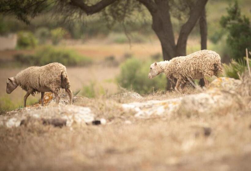 호텔 Agroturisme S Horta