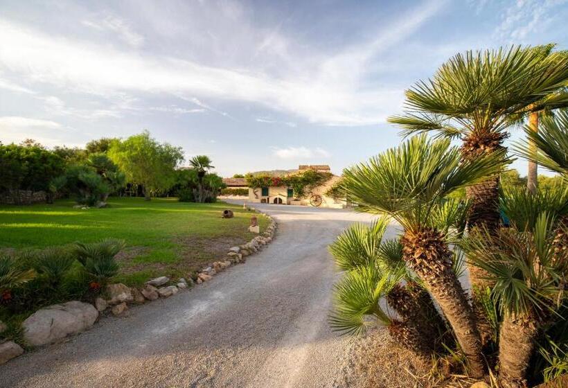 호텔 Agroturisme S Horta