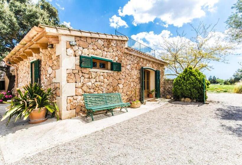 ホテル Finca Agroturismo Sa Cova Den Borino