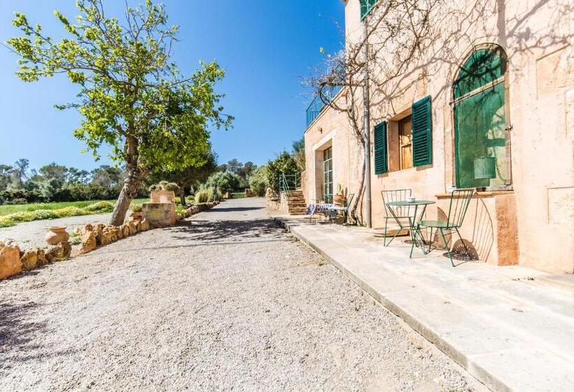 ホテル Finca Agroturismo Sa Cova Den Borino