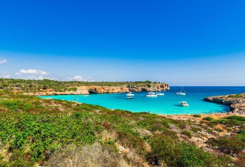 ホテル Finca Agroturismo Sa Cova Den Borino