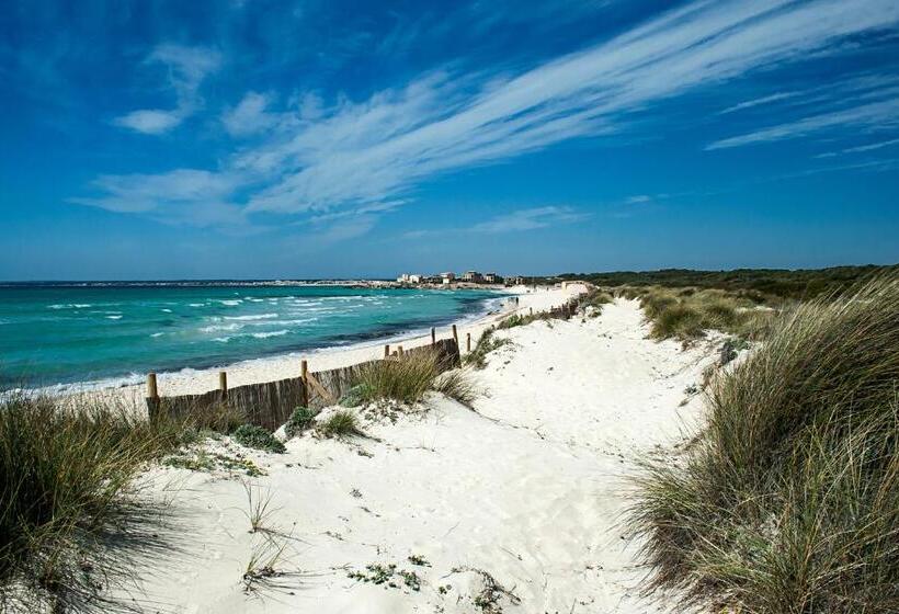 ホテル Finca Agroturismo Sa Cova Den Borino