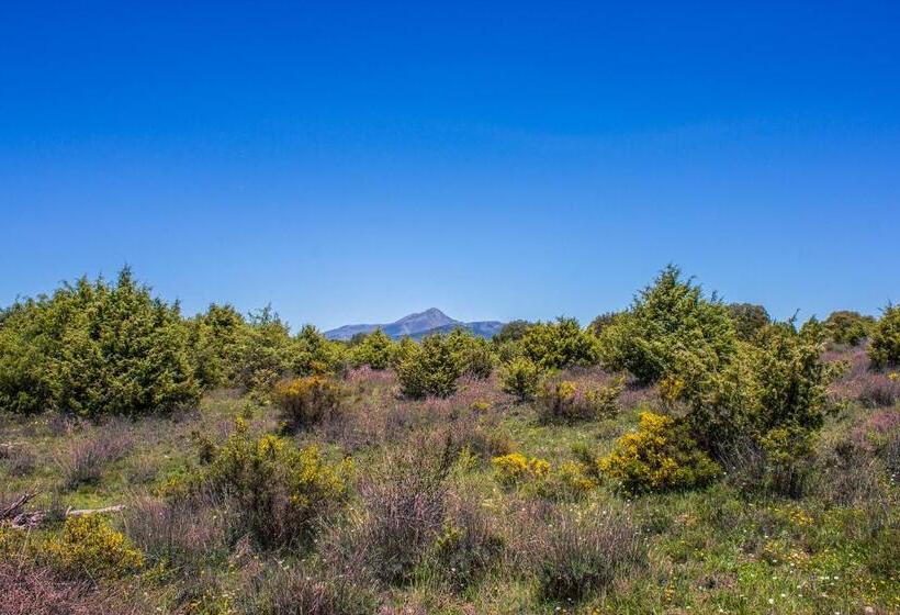 بنسيون El Pajar Negro