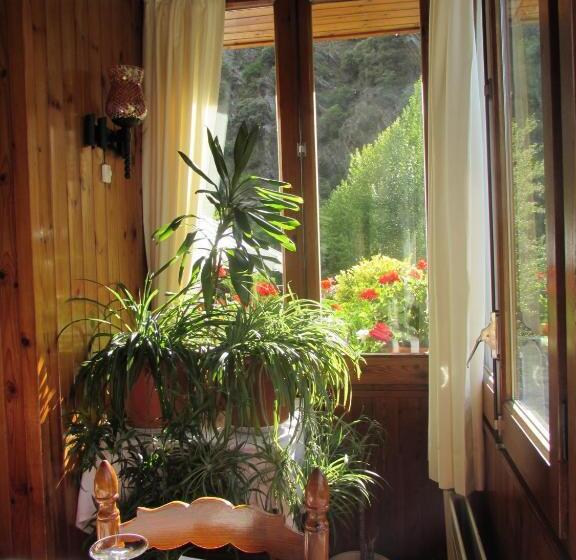Пансион Hostal Noguera