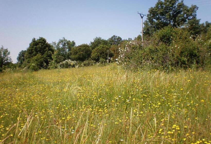 بنسيون Hostal Restaurante Alto Rey