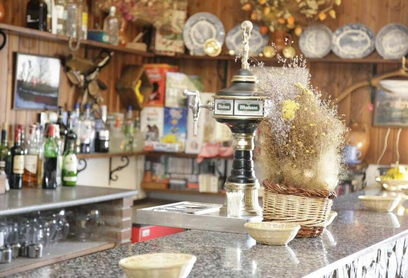بنسيون Hostal Restaurante Alto Rey