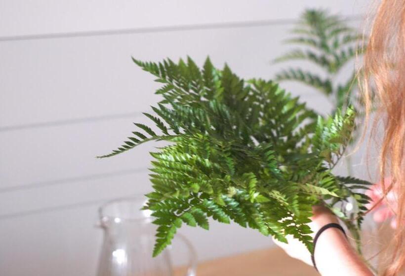 ペンション Lar Atlantica