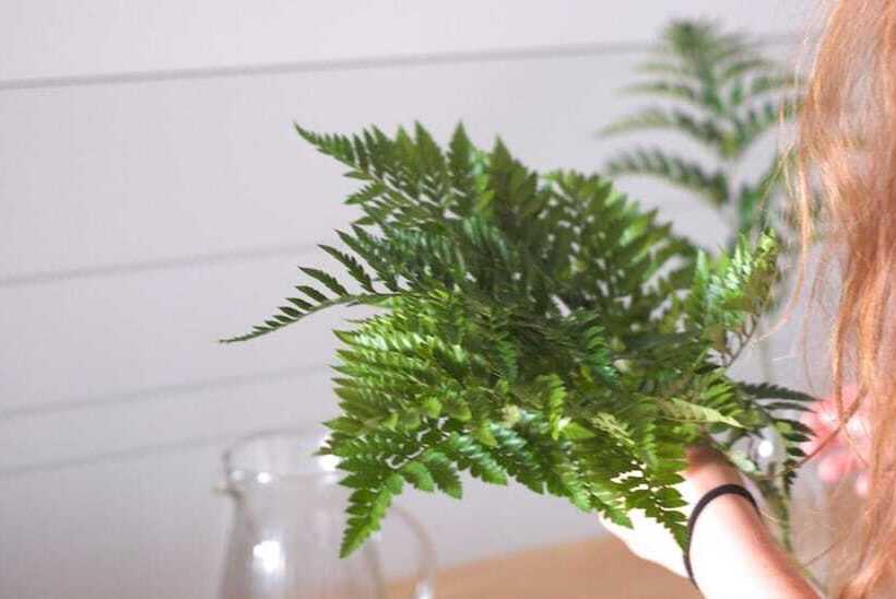 ペンション Lar Atlantica