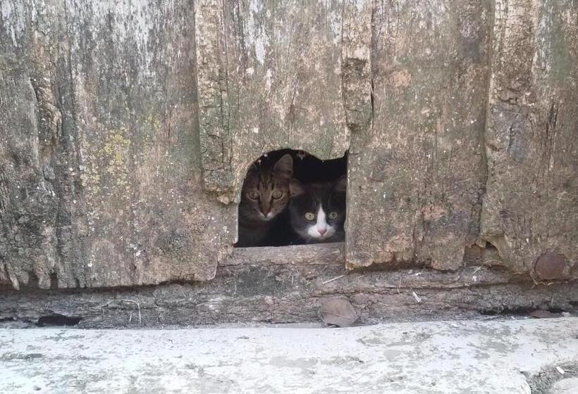 הוסטל Rural El Secreto Del Castillo