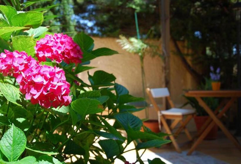 膳宿费 Ca La Carmeta