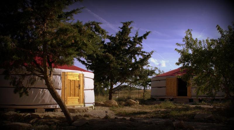 膳宿费 Campo De Reyes