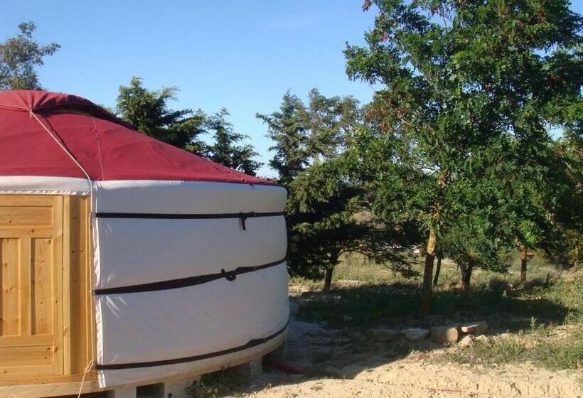 膳宿费 Campo De Reyes