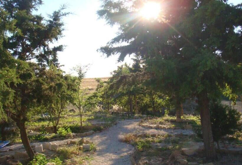 膳宿费 Campo De Reyes