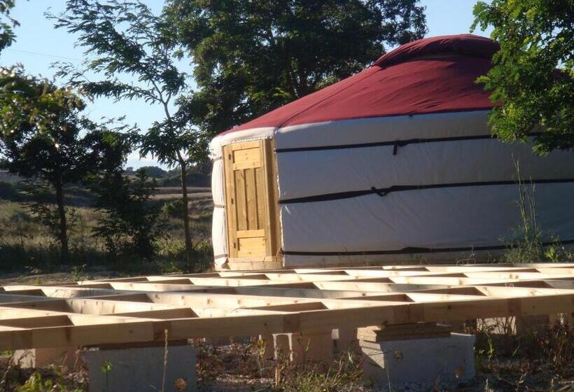 膳宿费 Campo De Reyes