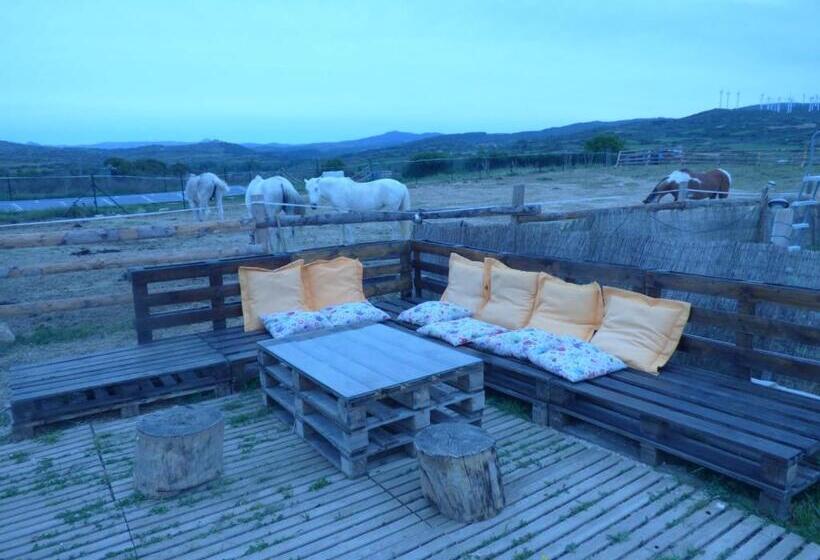 膳宿费 Campo De Reyes