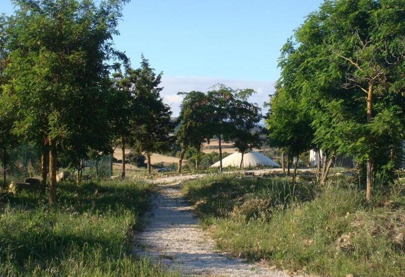 膳宿费 Campo De Reyes