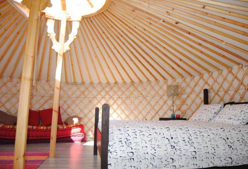 膳宿费 Campo De Reyes