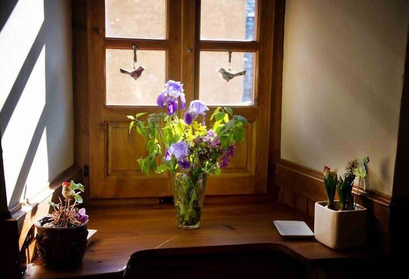 פנסיון Casa Helipa