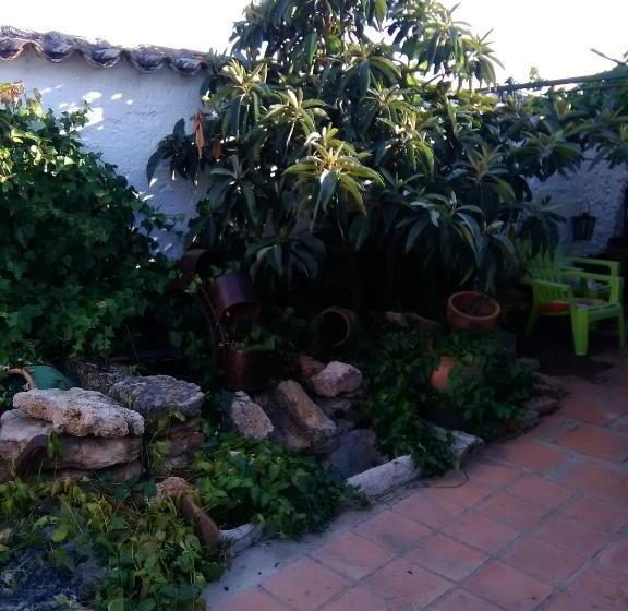 פנסיון Casa Rural Santa Maria Del Guadiana