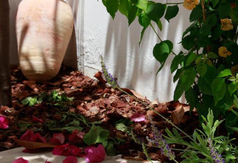 Пансион Casa Limon