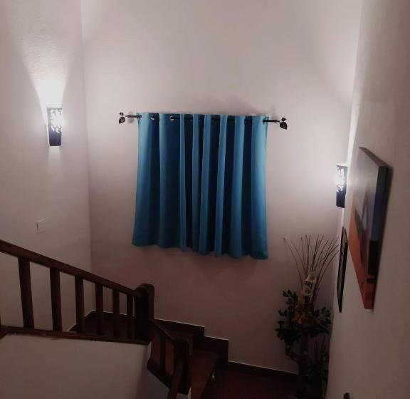 ペンション Hostal El Hayedo