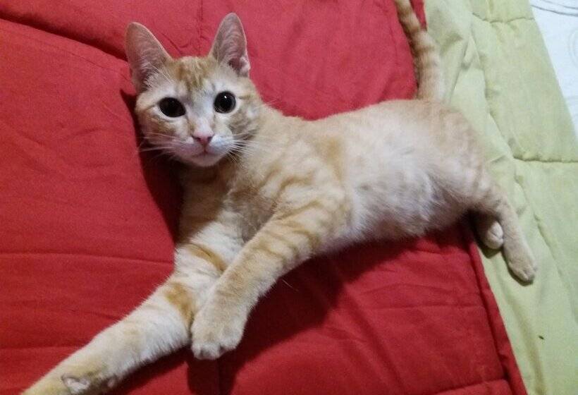 펜션 Hostal La Catedral